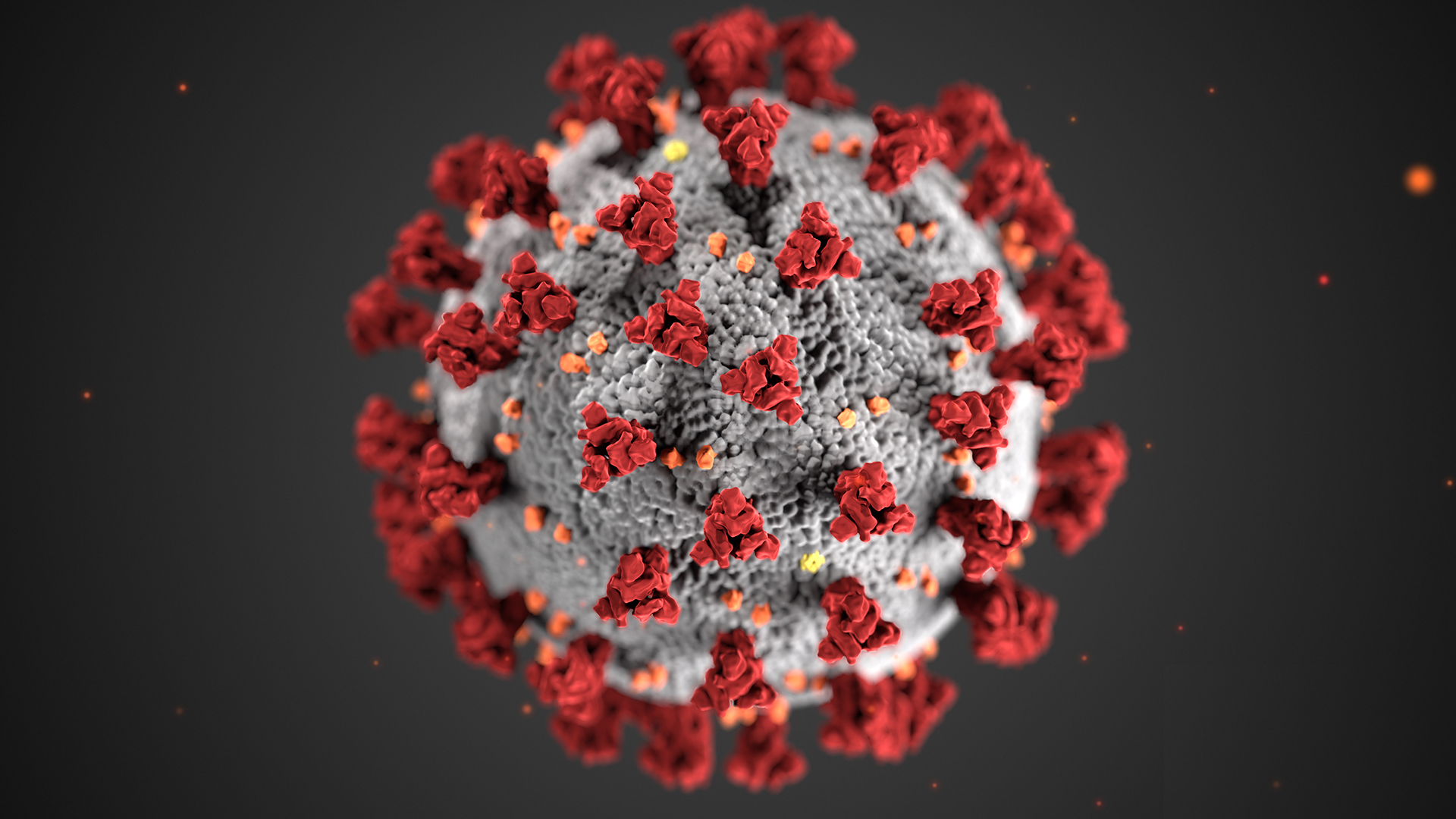 Como pessoas sobrevivem ao coronavírus e o que acontece a seguir